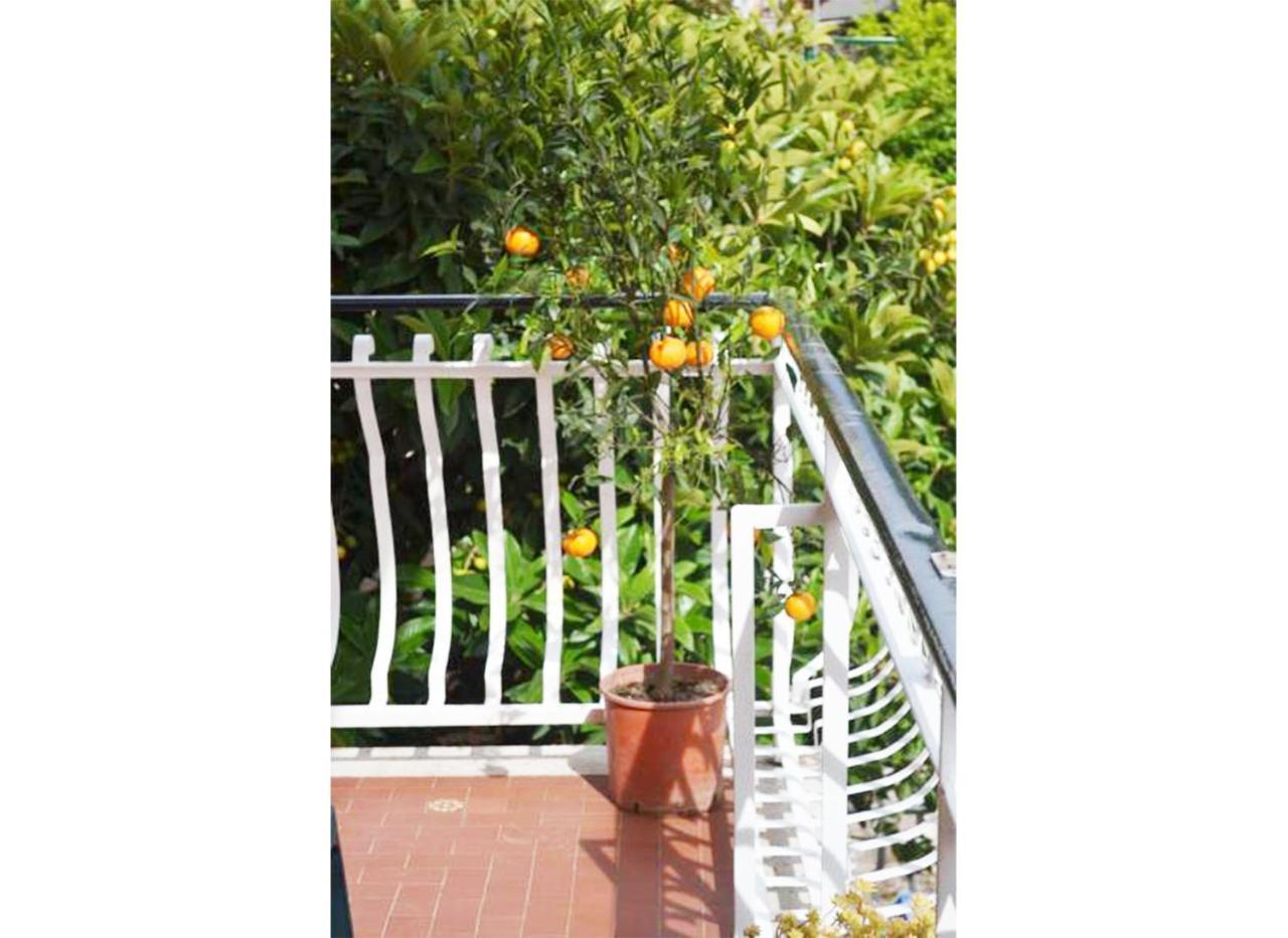 Casa Celeste Gasthuis Rome